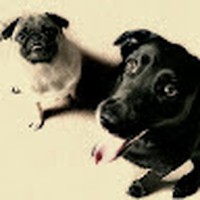 Profile Picture of Brian Marek (@brian-marek-9) on Quora
