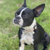 Profile Picture of Pamela Walker Bromagem (@pamela-walker-bromagem) on Quora