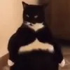 Profile Picture of randall (@r.andall) on Tiktok
