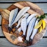 Profile Picture of Daniel (@danielglasco1235) on Instagram