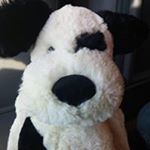 Profile Picture of Buddy Barron (@efdbarron) on Instagram