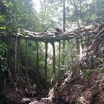 Profile Picture of Jp Castaing Gonzalez (@castainggonzalez) on Instagram