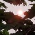 Profile Picture of Robert Goulet (@robert.goulet.18) on Facebook