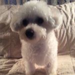 Profile Picture of Joan Cahill (@nanacahill37) on Instagram