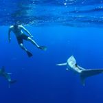 Profile Picture of James Pegg (@wanderingmcnugget) on Instagram