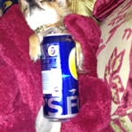 Alison Brazinski - Facebook Profile Picture of Alison Brazinski (@abrazinski) on Facebook