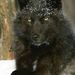 Profile Picture of amy downs (@doloresgannon) on Pinterest
