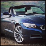 Profile Picture of Elaine Thompson (@bracedogglex) on Instagram