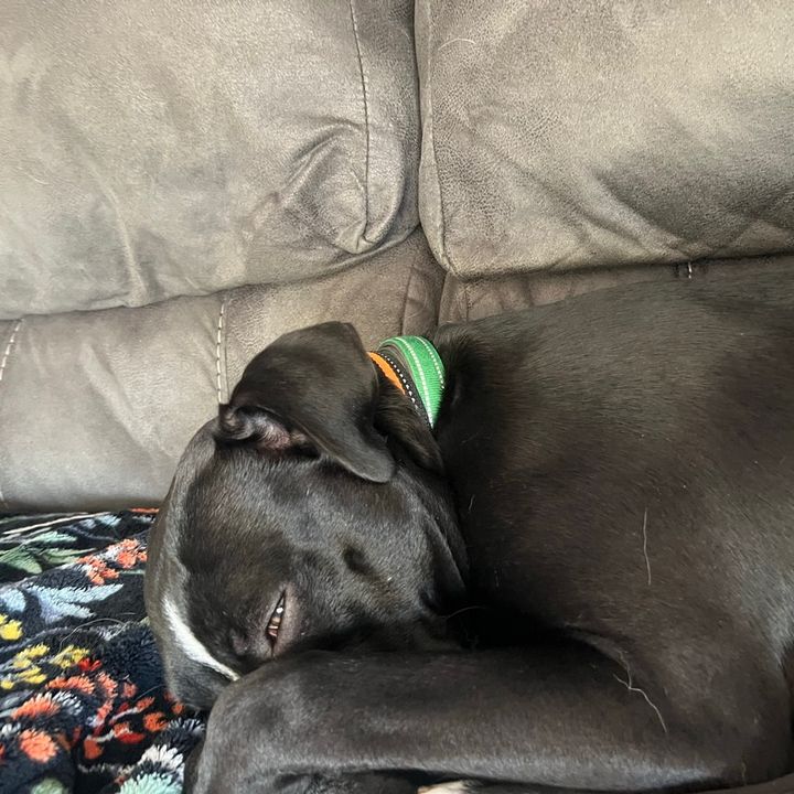 Profile Picture of Adam Wiedermann (@adamwiedermann) on Tiktok