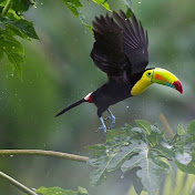 Profile Picture of David Lando (@davidlando94) on Youtube