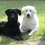 Lori Hatter - Instagram Profile Picture of Lori Hatter (@lhappyhatter) on Instagram