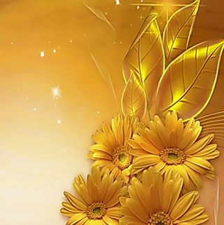 Profile Picture of Alice Oller (@alice.oller.1) on Facebook