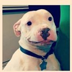 Profile Picture of bojan (@la_kokaina_94) on Instagram