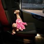 Profile Picture of Geraldine (@geraldine.scullion.96) on Instagram