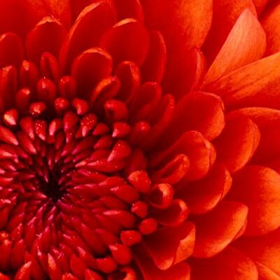 Profile Picture of Richard Portal (@richardportal1) on Twitter