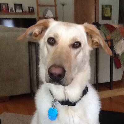 Profile Picture of Dave Boyles (@boyles_dave) on Twitter