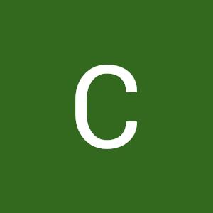 Profile Picture of chasityfulton4 (@chasityfulton4) on Tiktok