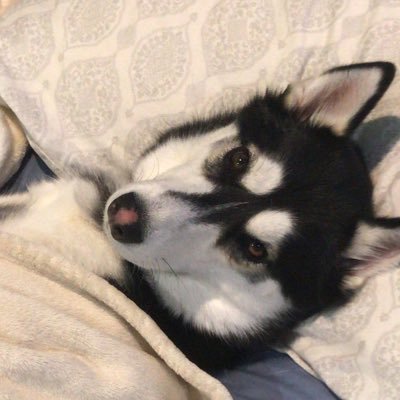 Profile Picture of Jacob Compton (@Ultimate_Thirst) on Twitter