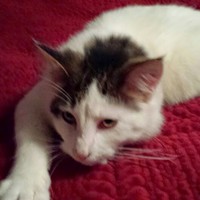 Profile Picture of Cassi Quick (@cassi-quick) on Quora