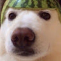 Profile Picture of Cristobal Gonzalez (@cristobal-gonzalez-71) on Quora