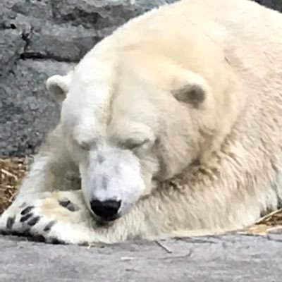 Profile Picture of Mark Westermeyer (@weste50) on Twitter