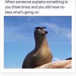 Profile Picture of joseph86mendez (@joseph86mendez) on Instagram