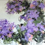 Profile Picture of Phyllis Bachand (@phylbachand) on Instagram