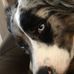 Profile Picture of Blake Blair (@blake.blair.79274) on Facebook