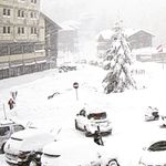 Profile Picture of Gabriella Cialdi (@cialdigabriella) on Instagram