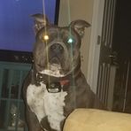 Profile Picture of Sean Hannam (@sean.hannam.7) on Facebook