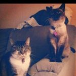 Profile Picture of Patricia Jo Bates Deyo (@patty_o_deyo) on Instagram