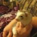 Profile Picture of Jacob Jesse (@jacob.jesse.568) on Facebook