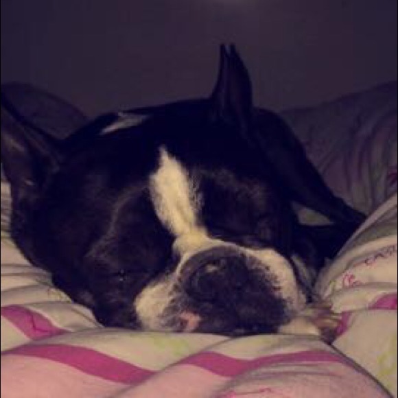 Profile Picture of Abigail Novinski (@abigailnovinski) on Poshmark