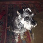 Profile Picture of chip.penick (@chip.penick) on Instagram