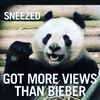 Profile Picture of Darryl Black (@@darrylblack) on Tiktok