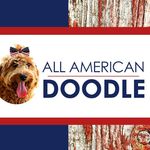 Profile Picture of Kylie Hastings (@allamericandoodle) on Instagram