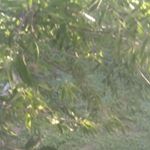 Profile Picture of Jonathan Pando (@lildestroyer43) on Instagram