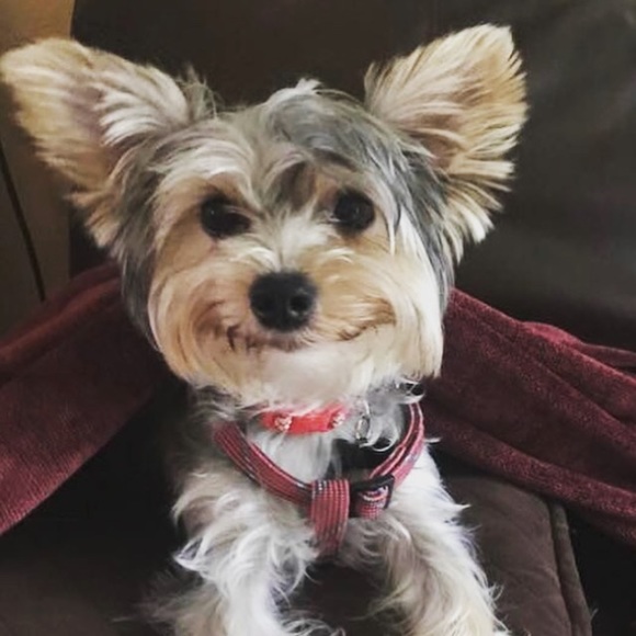 Profile Picture of Nancy Ross (@nancyross876) on Poshmark