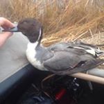 Profile Picture of James (@james_fenelon) on Instagram