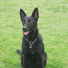 Profile Picture of Timothy Holmes (@timothy.holmes68) on Tiktok