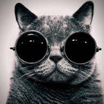 Profile Picture of Ring Kanfer (@kanfer_ri_kring) on Instagram