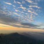 Profile Picture of Daniel Dawson (@the_real_buoy) on Instagram