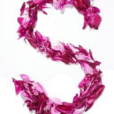 Profile Picture of Sadia_saeed (@sadia_saeed1) on Twitter