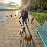 Profile Picture of Robert Mackinnon (@macki_m) on Instagram