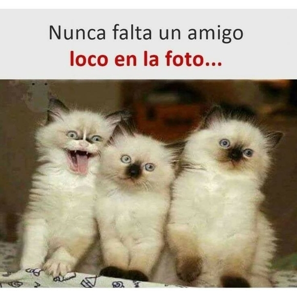 Profile Picture of Karla Trigueros (@karlatrigueros) on Poshmark