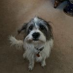 Profile Picture of Ruby Pittman (@rubypittman722) on Instagram