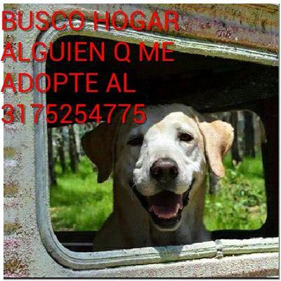 Profile Picture of John Jairo Espinal A (@Danielespinal18) on Twitter