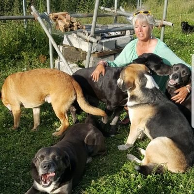 Profile Picture of Kim Marie Lennon (@Kimmlennon) on Twitter