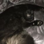 Profile Picture of Hayden (@hayden_thompson__) on Instagram