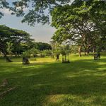 Profile Picture of parque del ingenio Cali (@parqueingenio) on Instagram